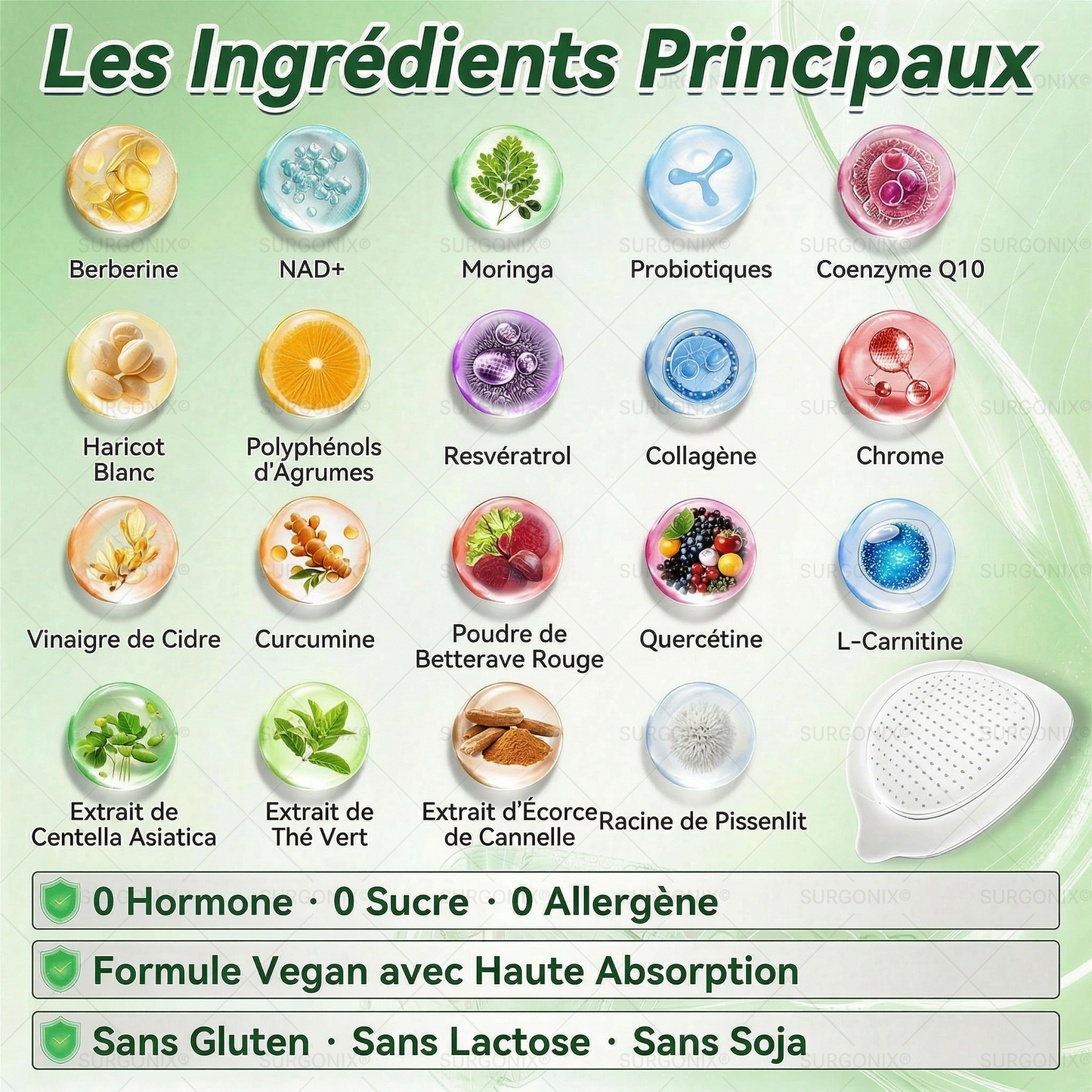 Surgonix® | Moringa | Berbérine & NAD+ – Patch nano-microneedle 10-en-1 | Soutien du métabolisme & du cœur